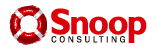 Snoop Consulting – Open Banking